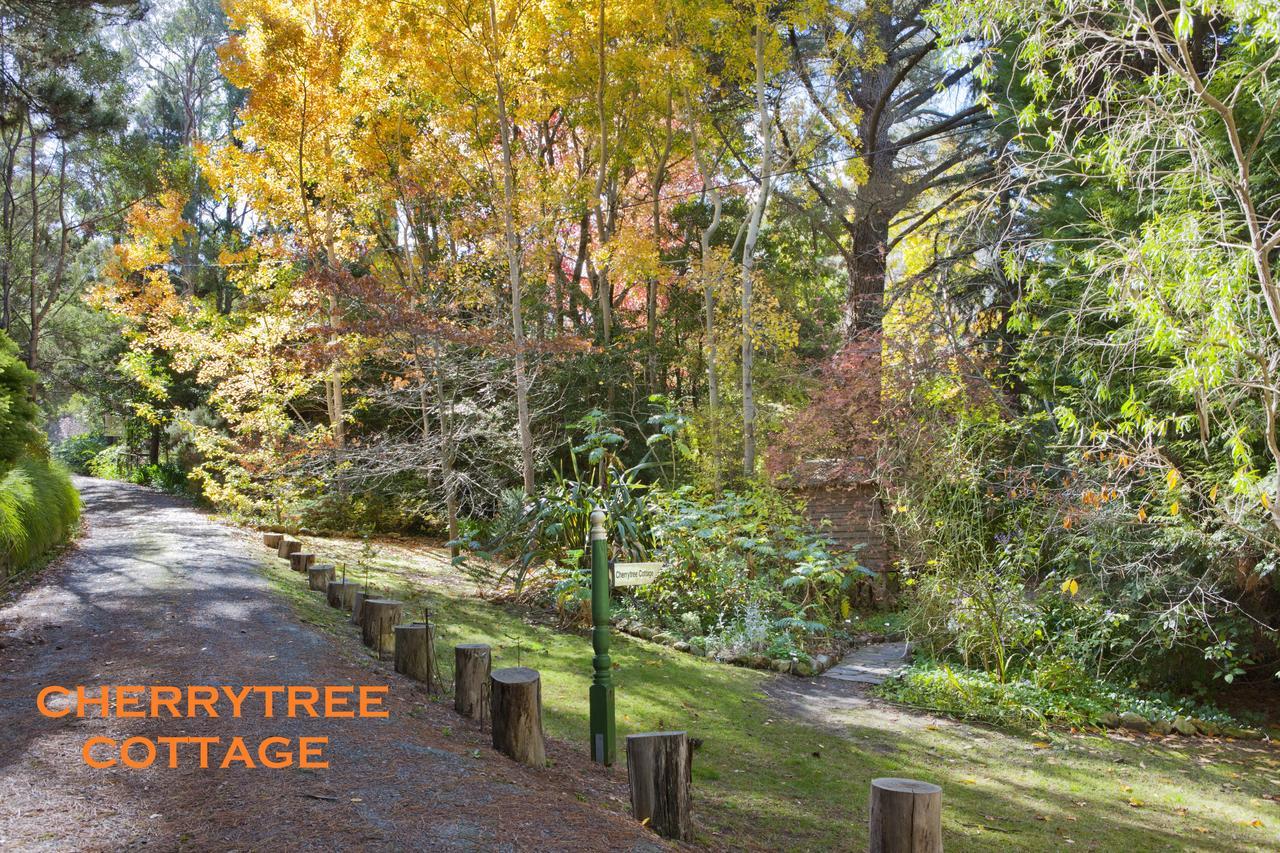Crafers Cottages Adelaide Phòng bức ảnh